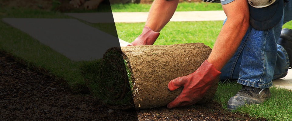 Mena Landscapers